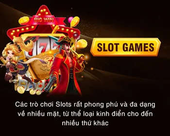 Phân tích hiệu suất